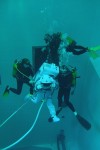 Nemo 33
